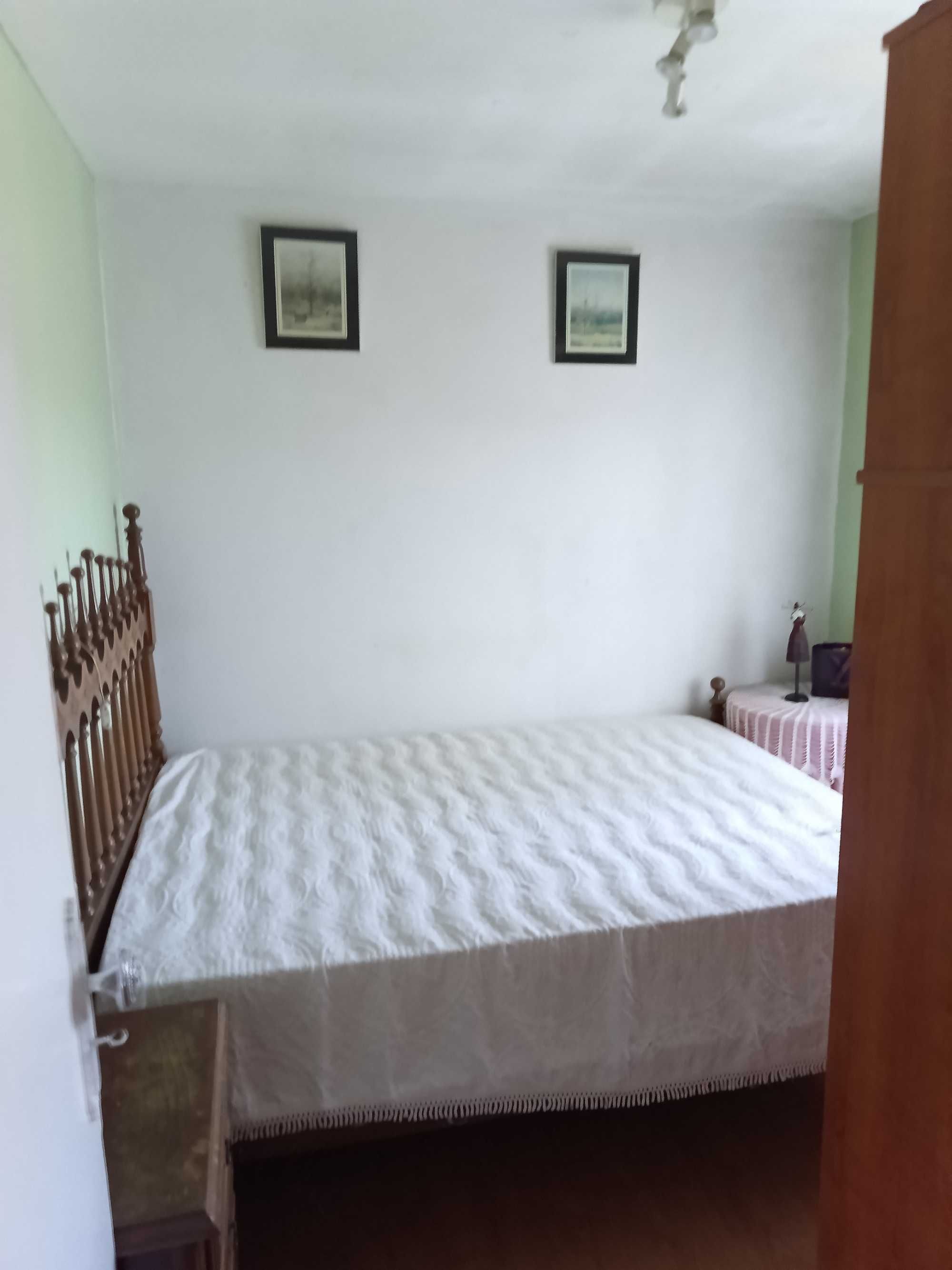 Quinta com casa, terrenos e pinhais