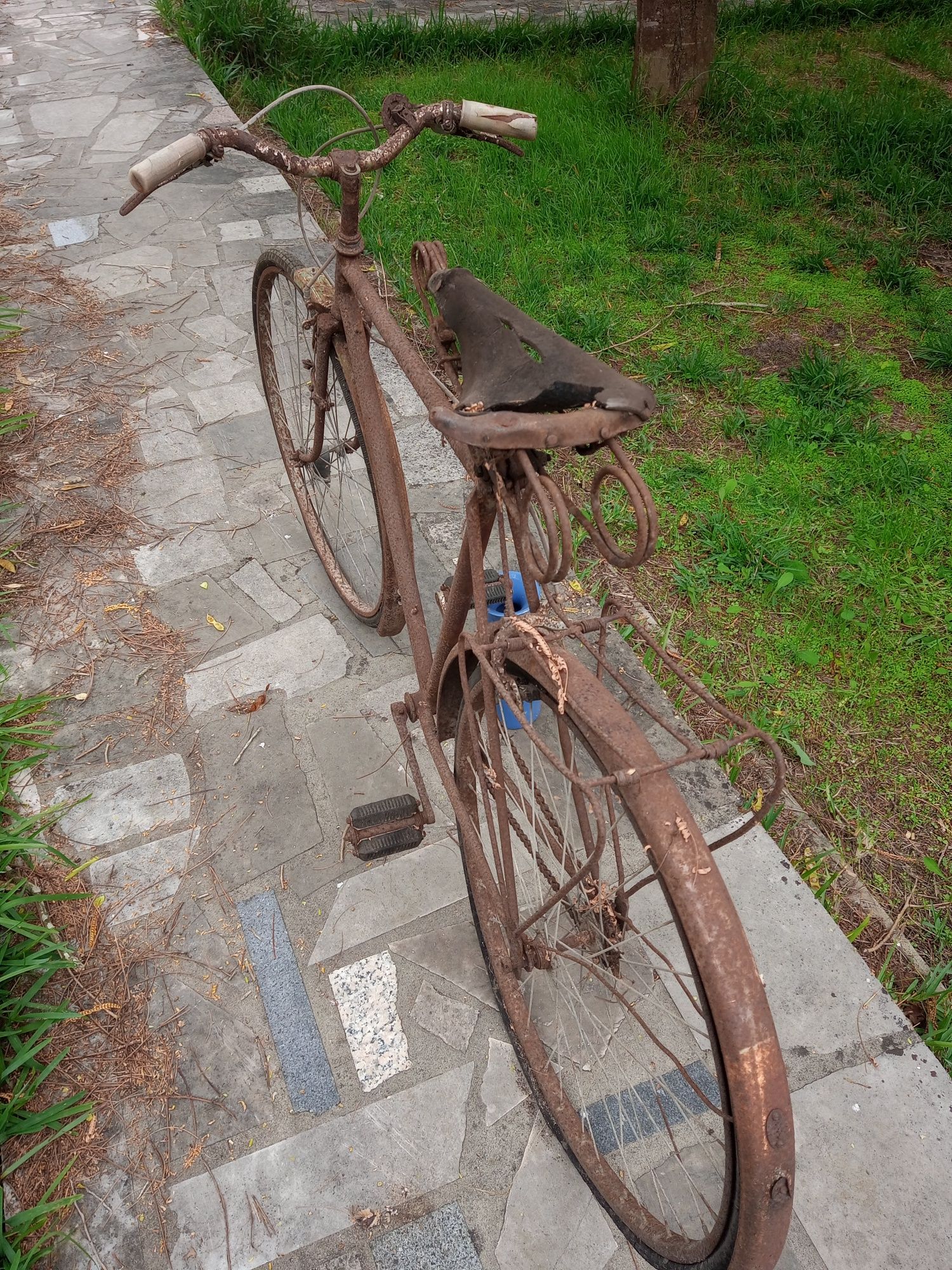 Bicicleta Pasteleira Marca Dragão