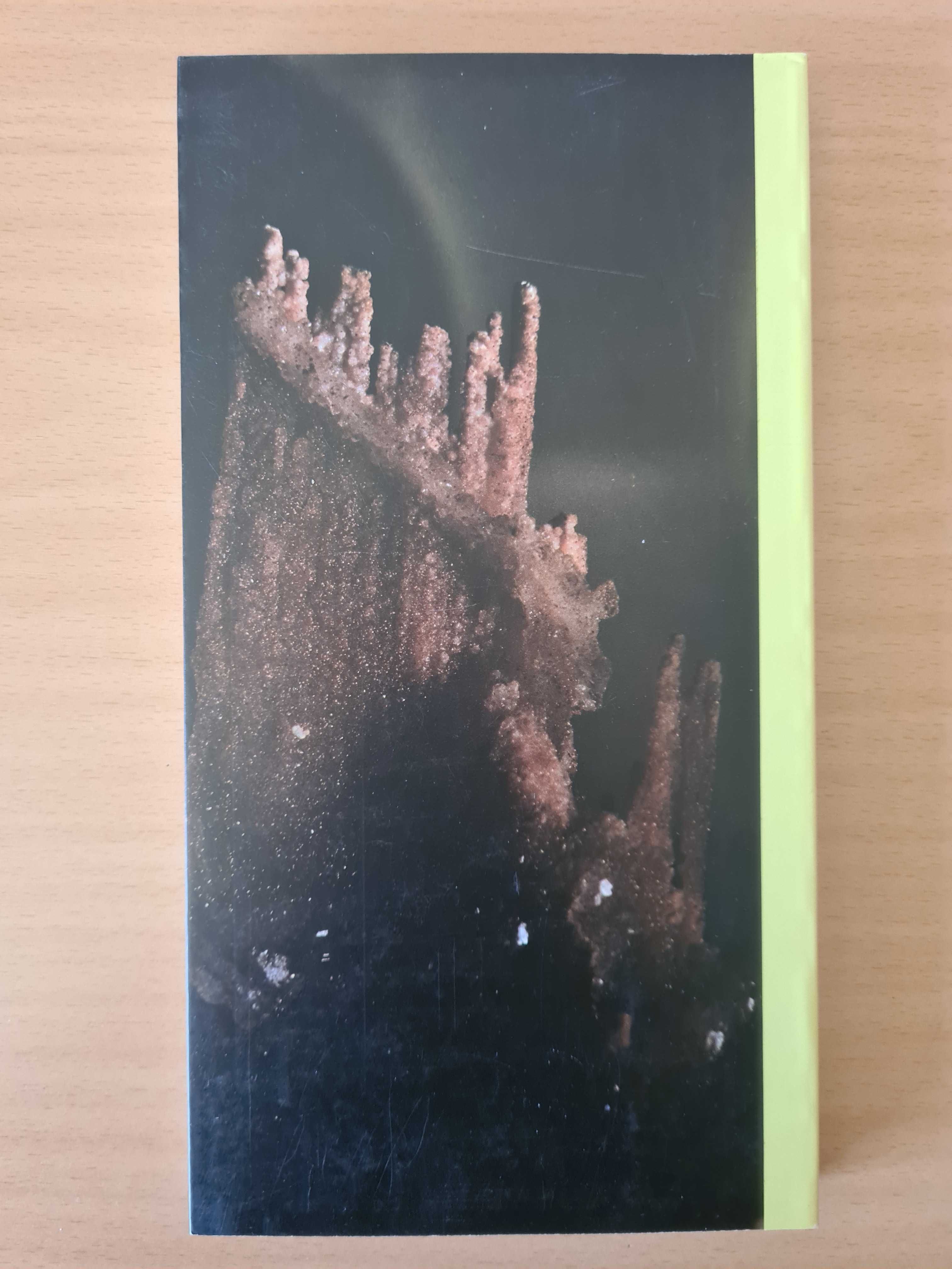 Livro "Poesia do Mundo / 2"