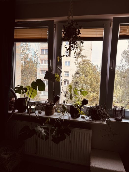 Na wynajem mieszkanie  CENTRUM, blisko UMB i szpitala USK i Śniadecji