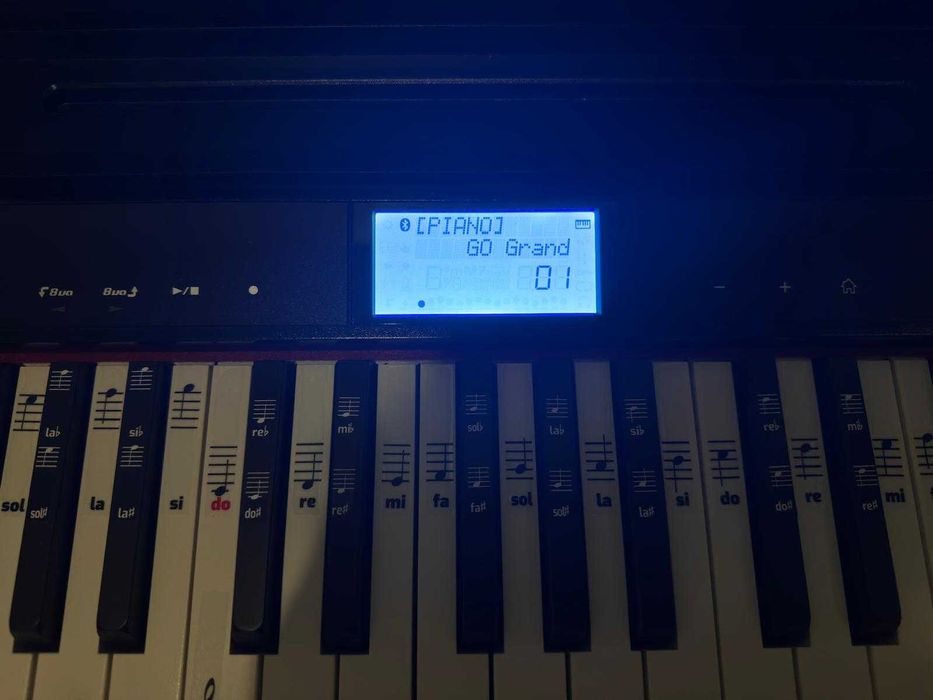 Roland Go Piano 61