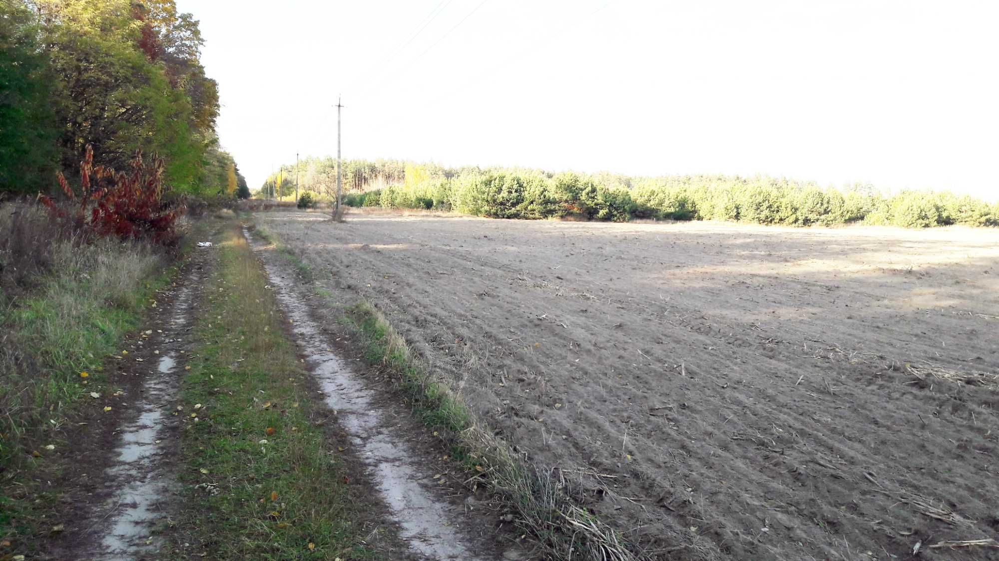 В оренду від 6 соток до 5 га відразу за Бортничами (Бориспільськ. р-н)