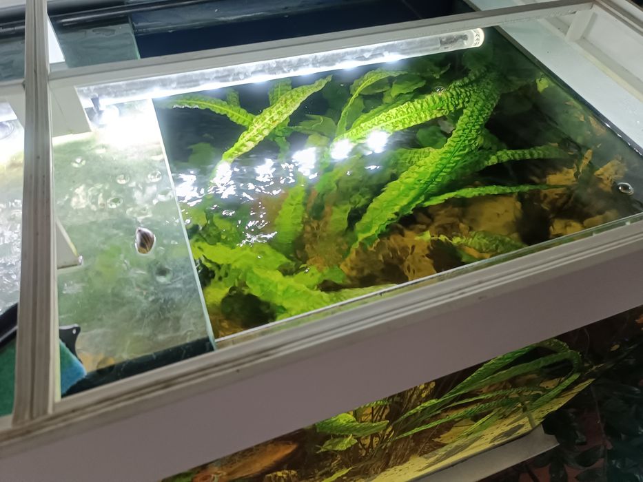 Akwarium 500l cały zestaw