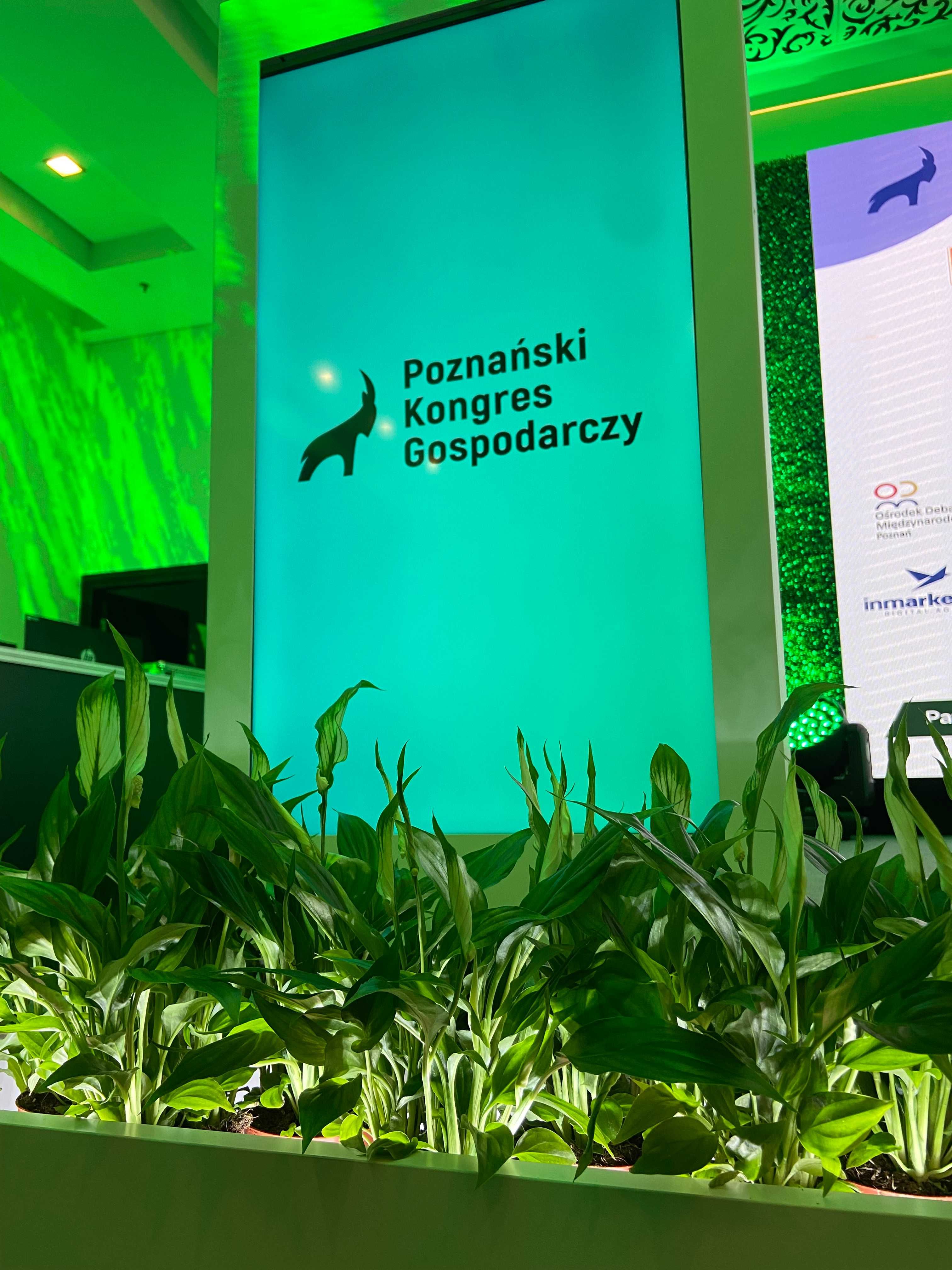 Wynajem Ekranów LED Telebimów - Konferencje Szkolenia Koncerty Targi