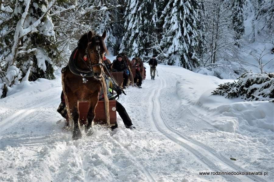 Wolny weekend Domek z Balią w lesie