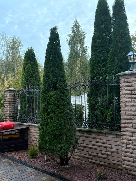 Садівник,Ландшафтний дизайн Борщагівка,Вишневе,Гатне