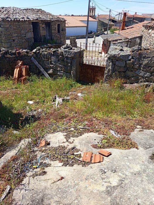 Vendo uma ruína em estevais da Vilariça