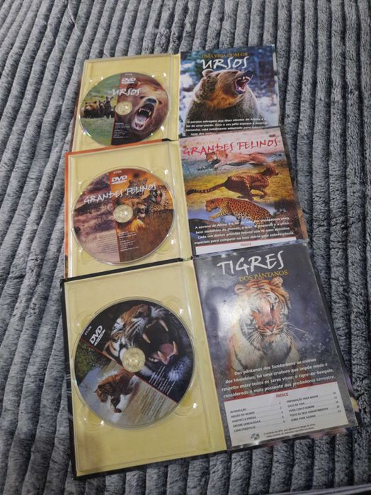Livros com dvds novos