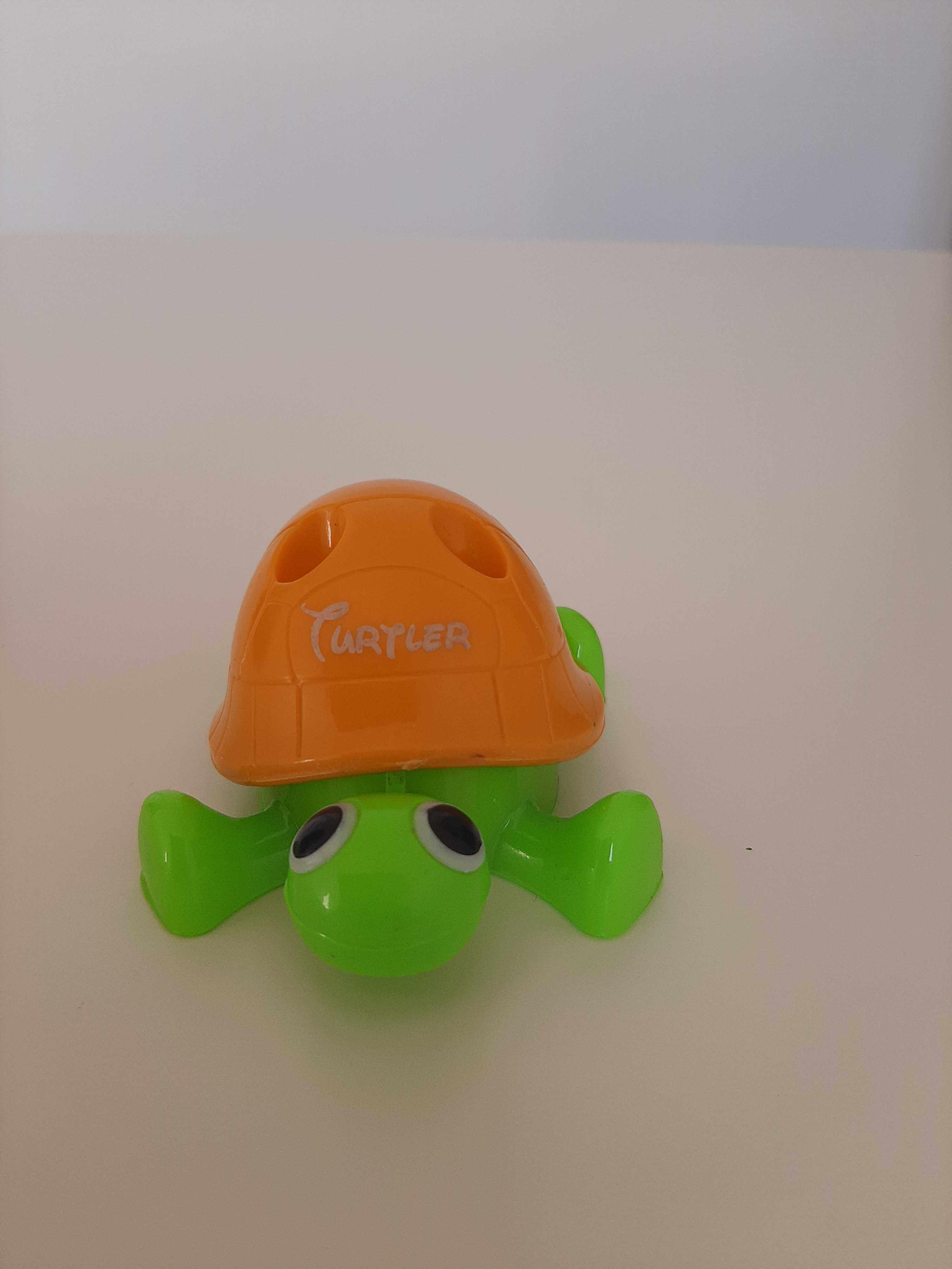 Temperówka żółwik, pomarańczowo-zielona.