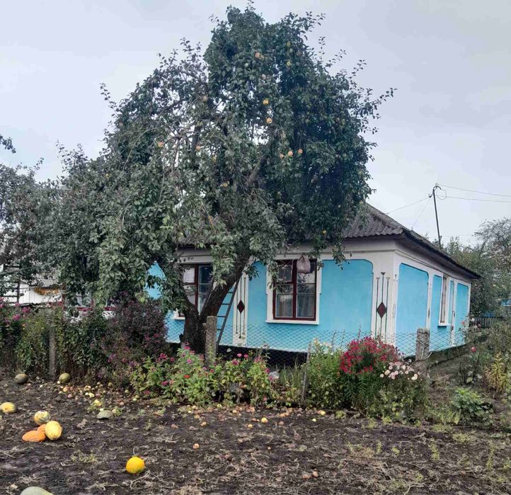Продам будинок в центрі розвиненого села