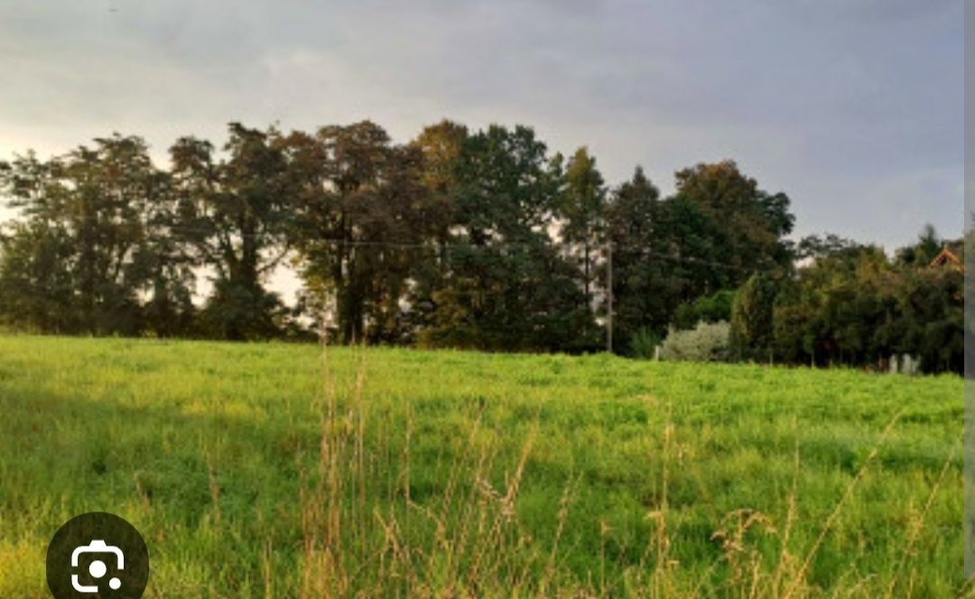 Sprzedam działkę 0,5 ha w Kromnowie( koniec Wojcieszyc)