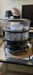 Parowar Tefal Convenient VC1401 6 l czarny 900 W