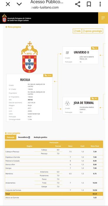 Vendo poldra PSL filha Miura de cais