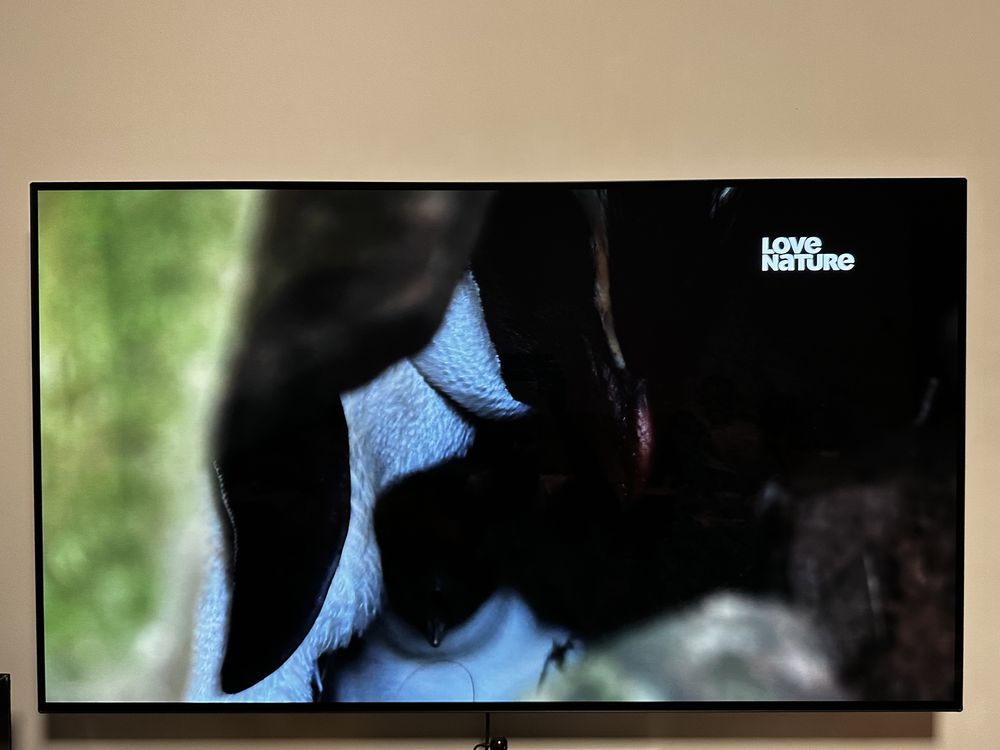 LG OLED55C7V stan bdb