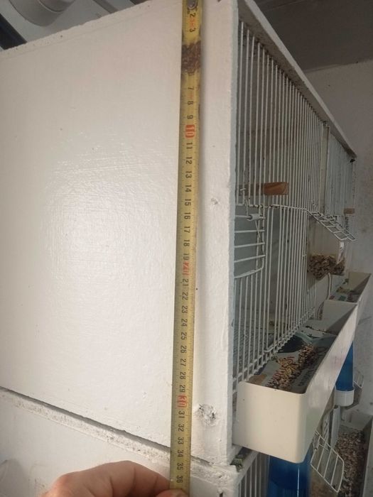 Viveiros para canários