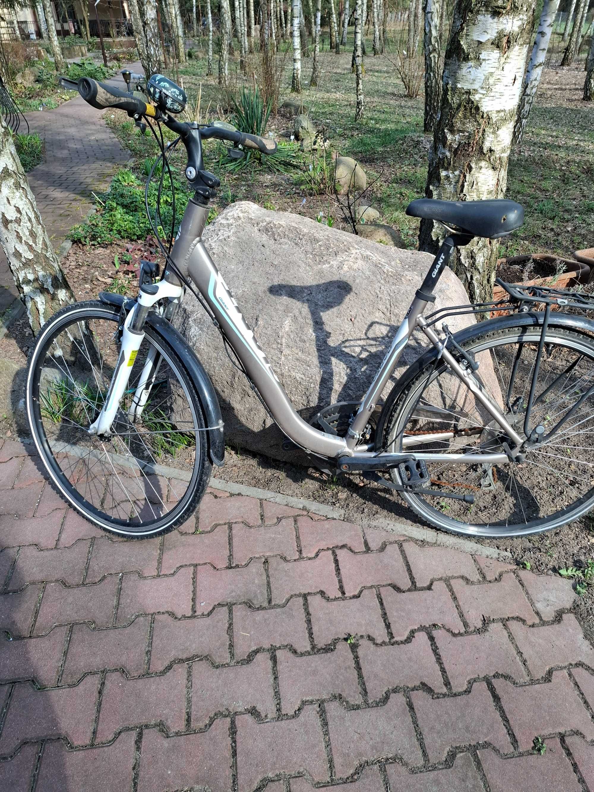 Rower damka Giant Argento