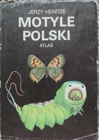 Atlas. Motyle Polski