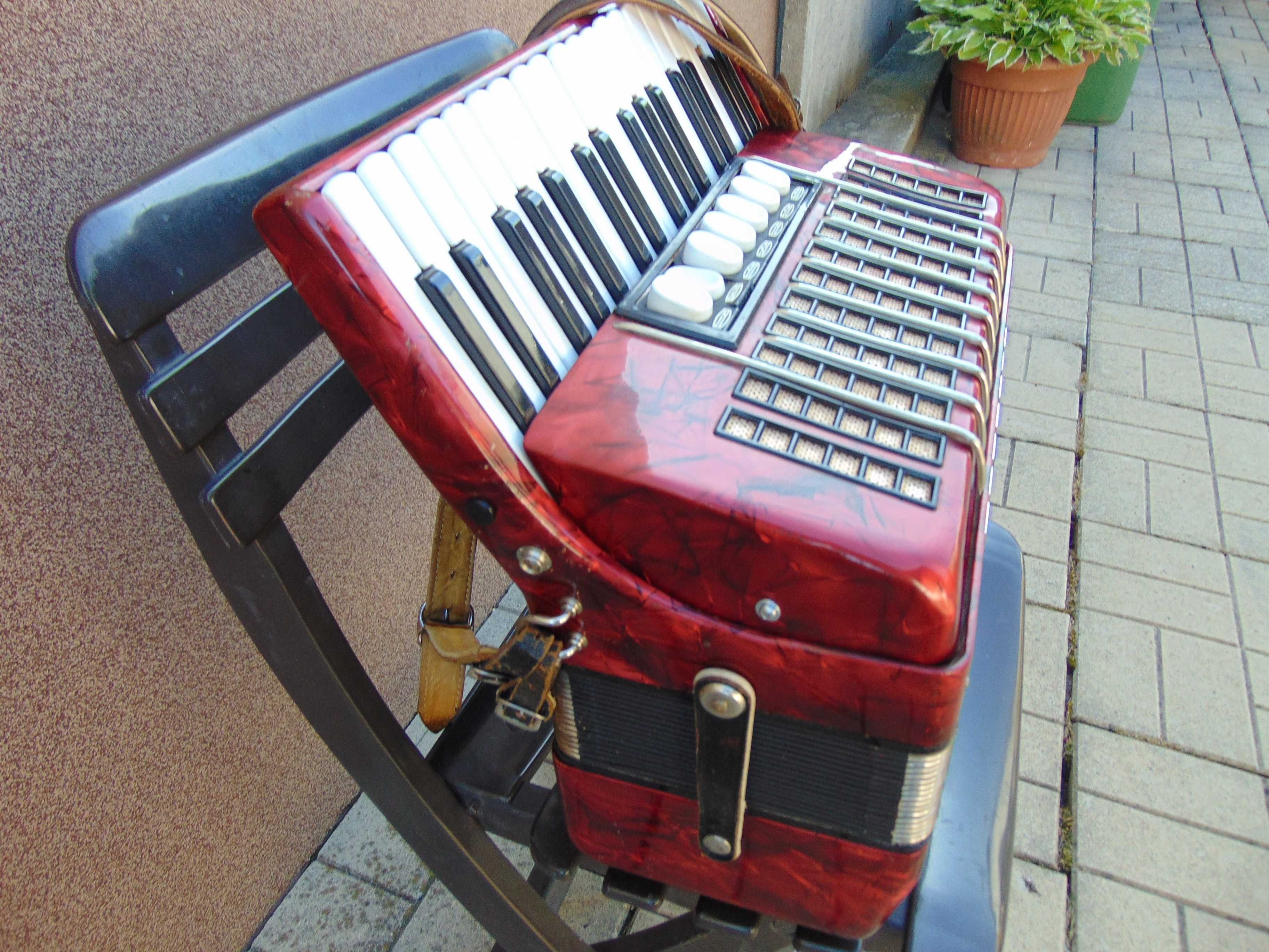 Akordeon Delicja