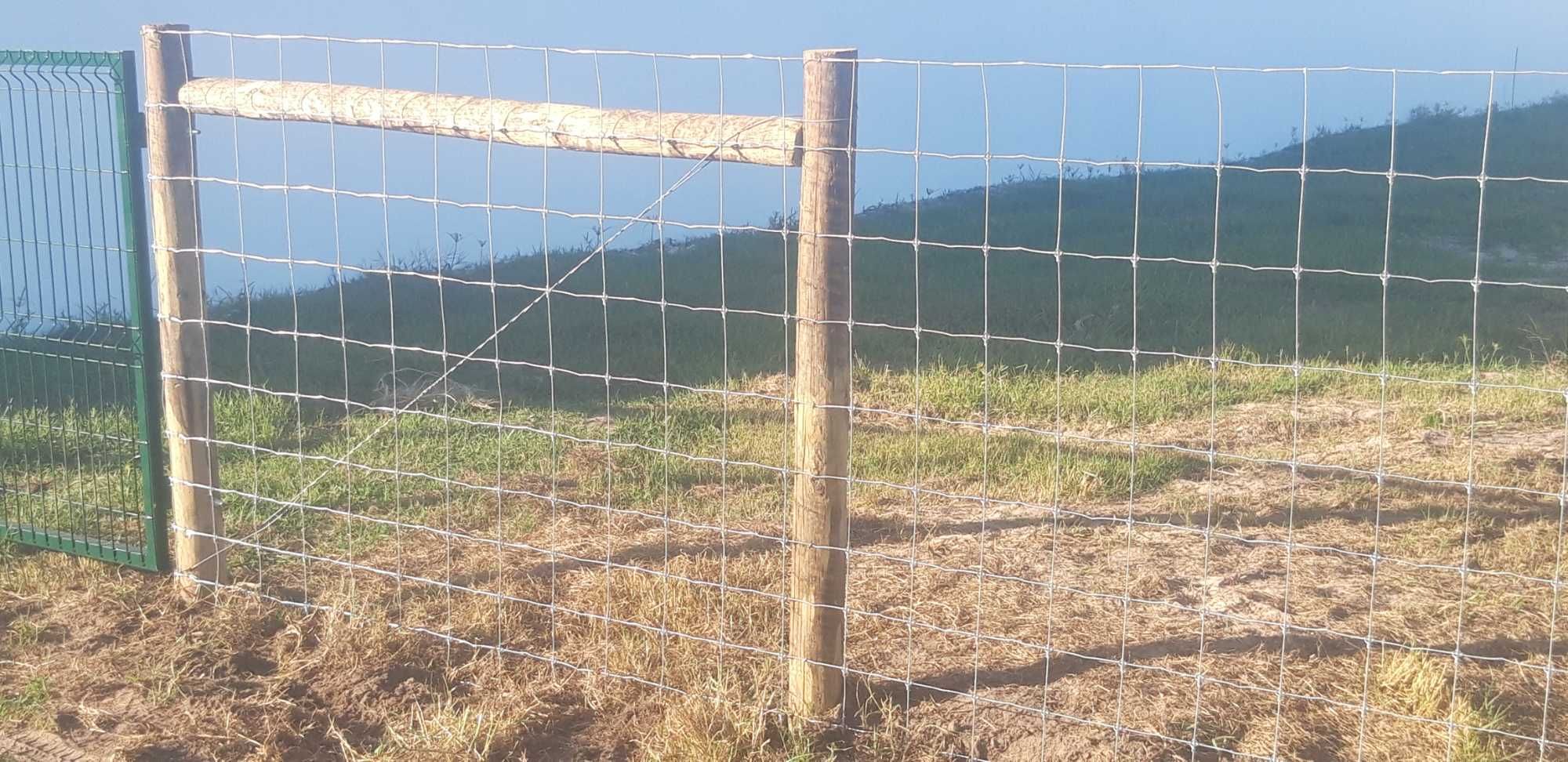 Limpezas de terrenos florestais vedações construção de muros em betão