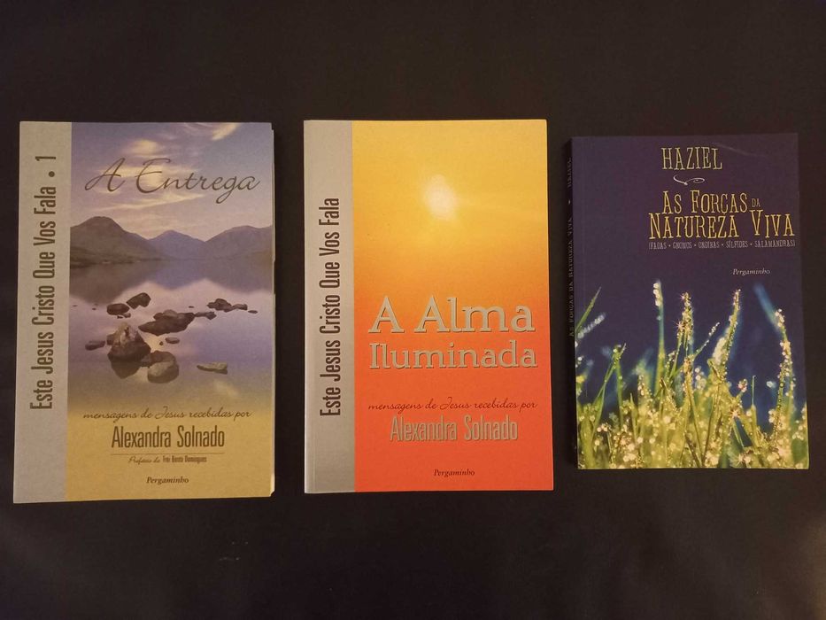 Lote de vários Livros