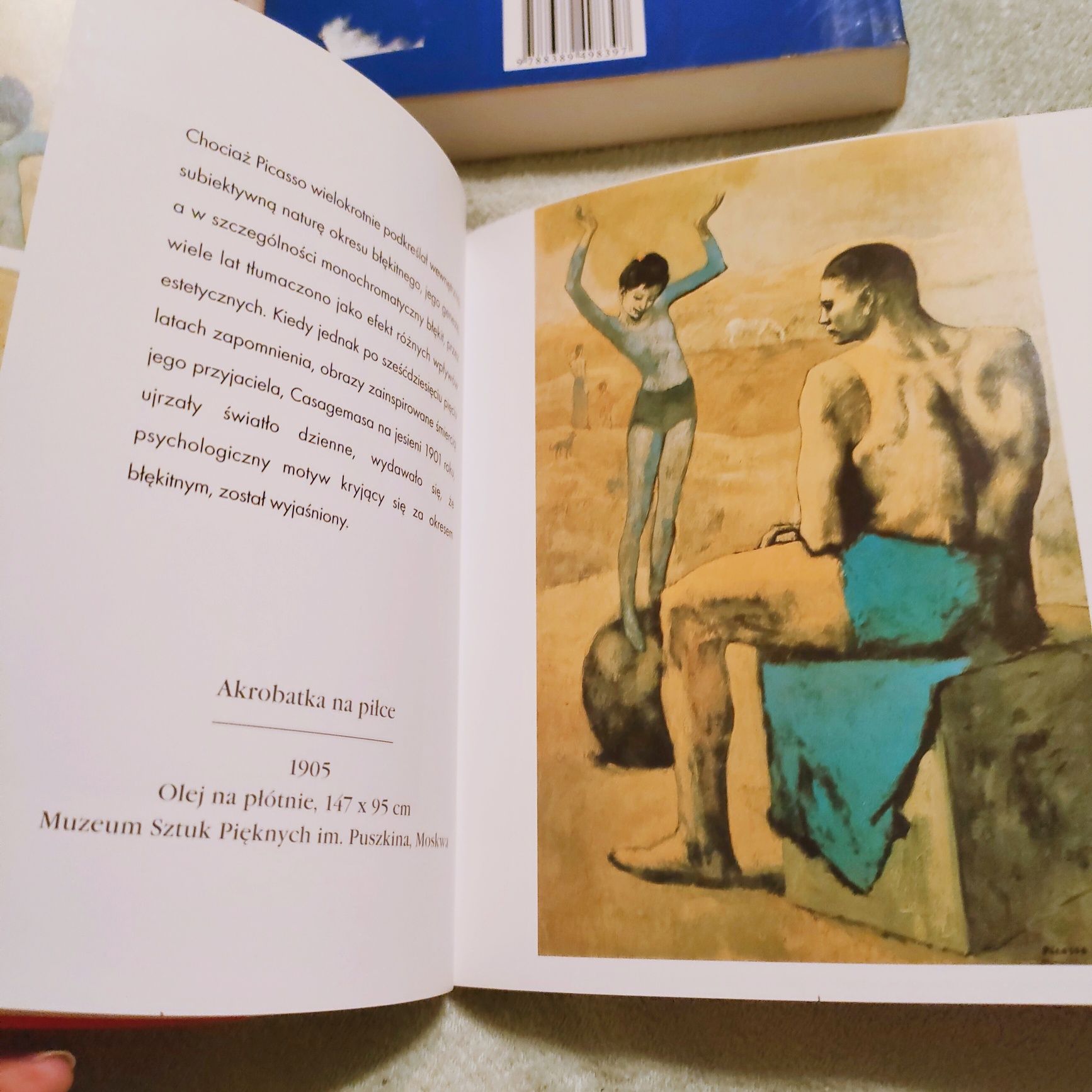 Warchol, Dali, Picasso, Chagall książki