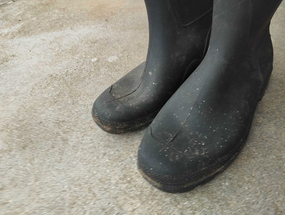 Galochas / Botas - 44 - Verdes - Bom Estado