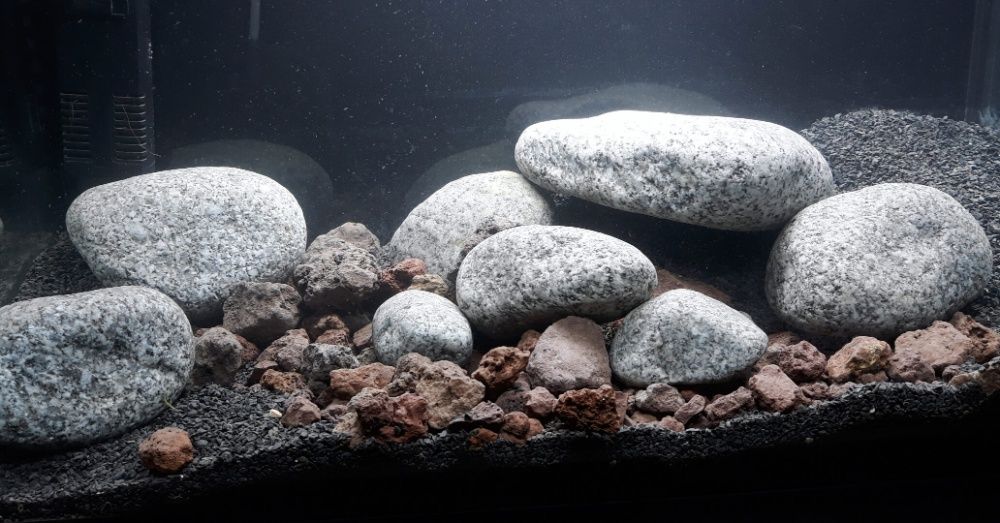 Otoczak granitowy 2-4 cm do akwarium -1 kg