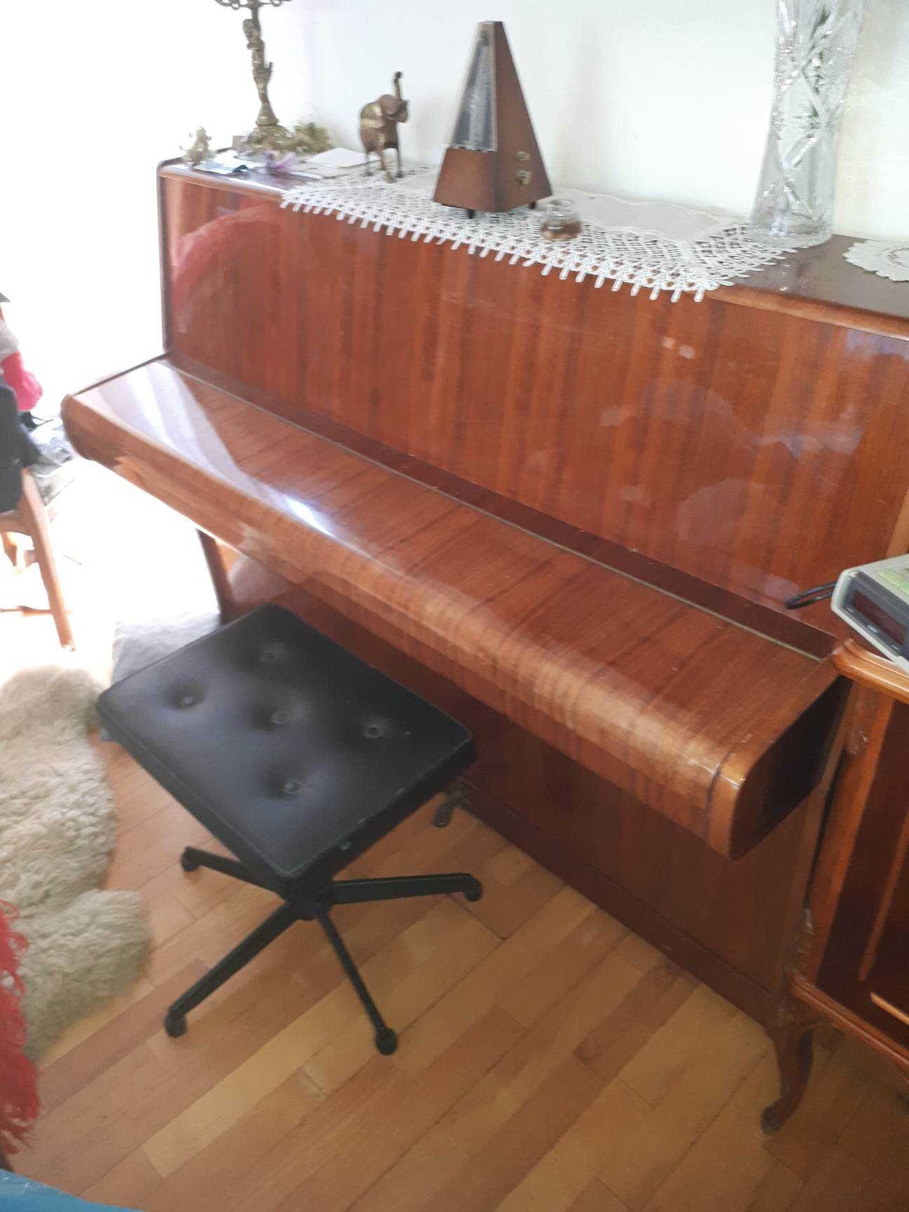 Pianino Calisia wraz z regulowaną ławką