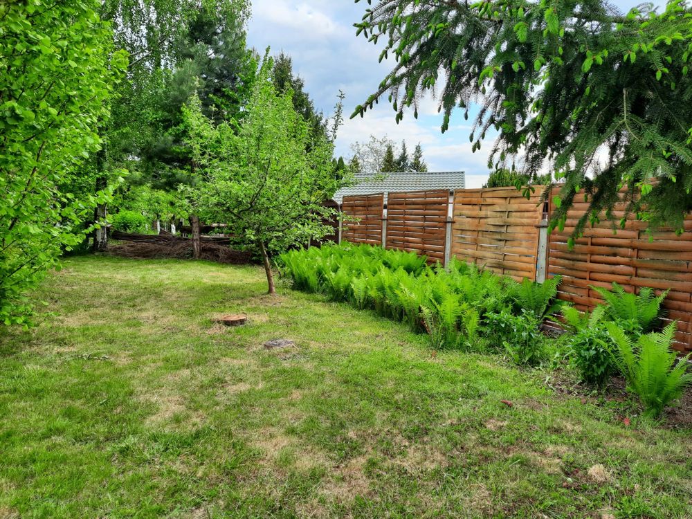 Działka rekreacyjna / Ogródek działkowy 480 m2