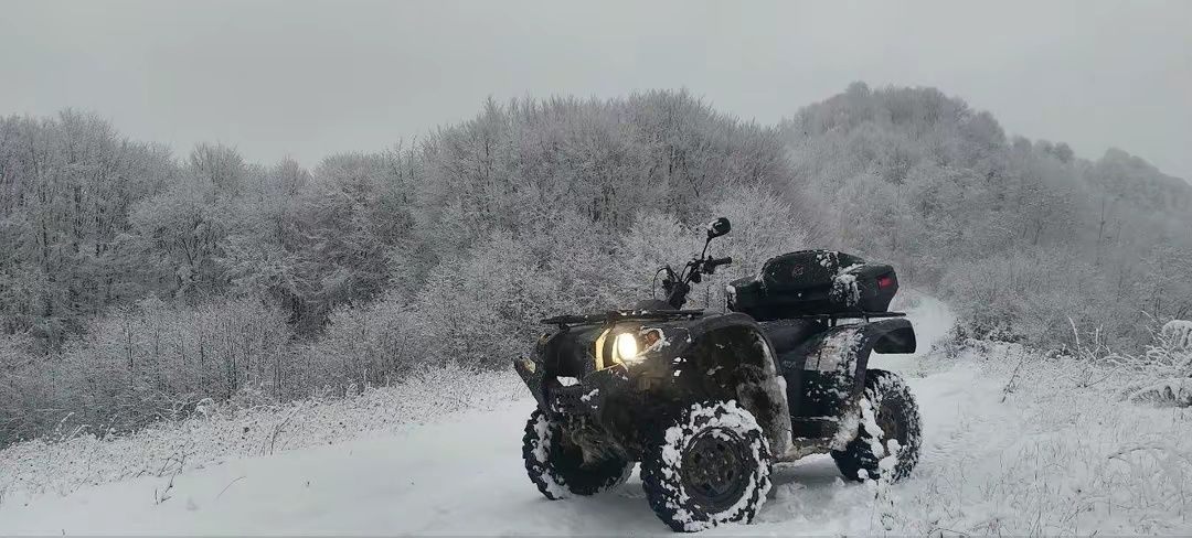 Квадроцикл Speed Gear Force 400