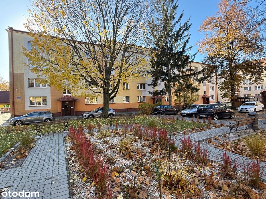 mieszkanie na parterze na spokojnym osiedlu w centrum