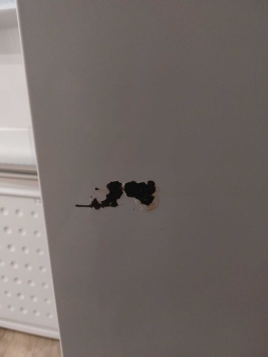 Lodówka BEKO 152 cm wysoka