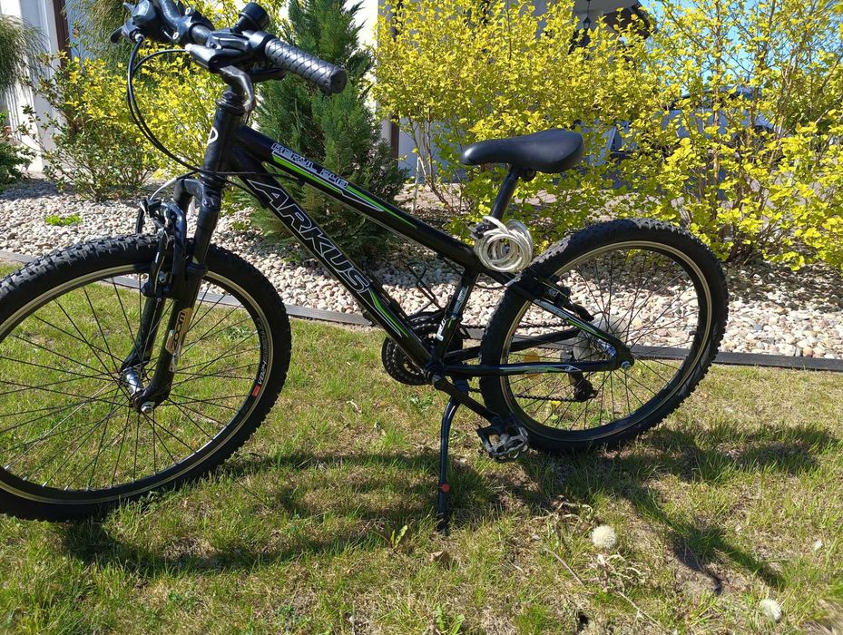 Rower Arkus Bavery 240 "24"