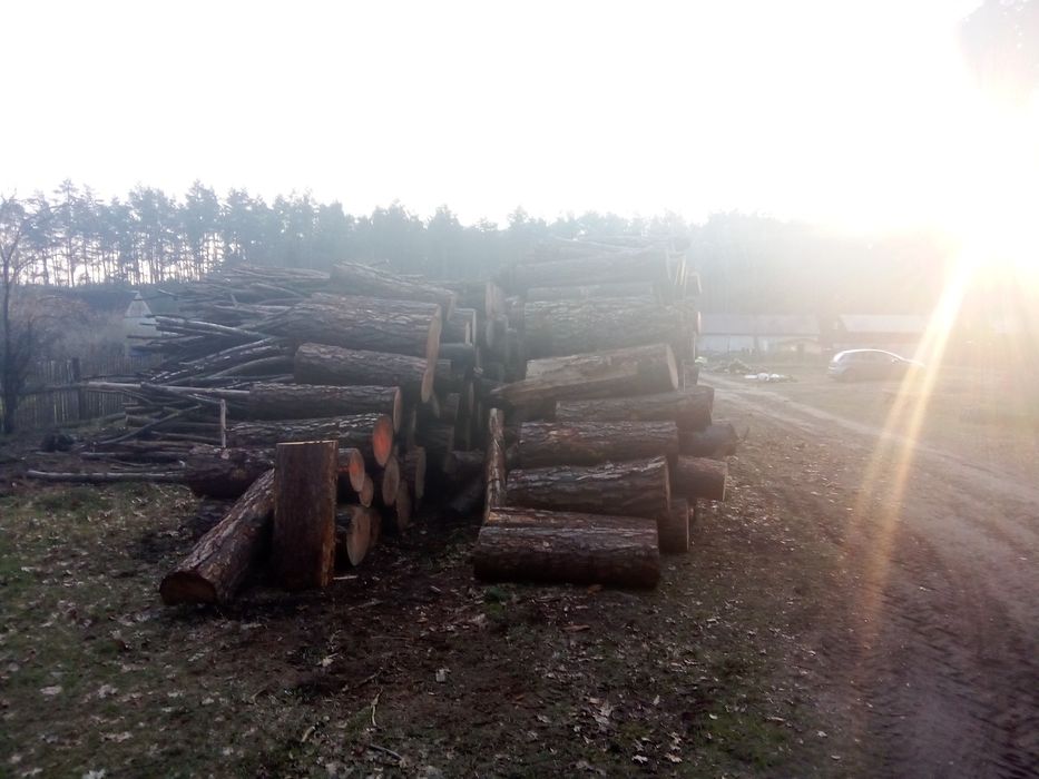 Drewno kominkowo-opałowe