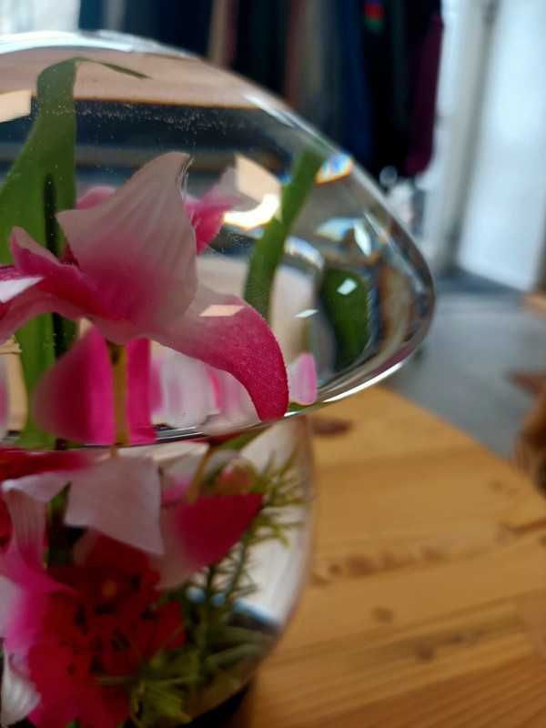 Kwiaty kompozycja w szkle grzyb akwarium