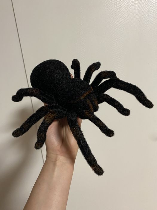 Павук на пульті керування