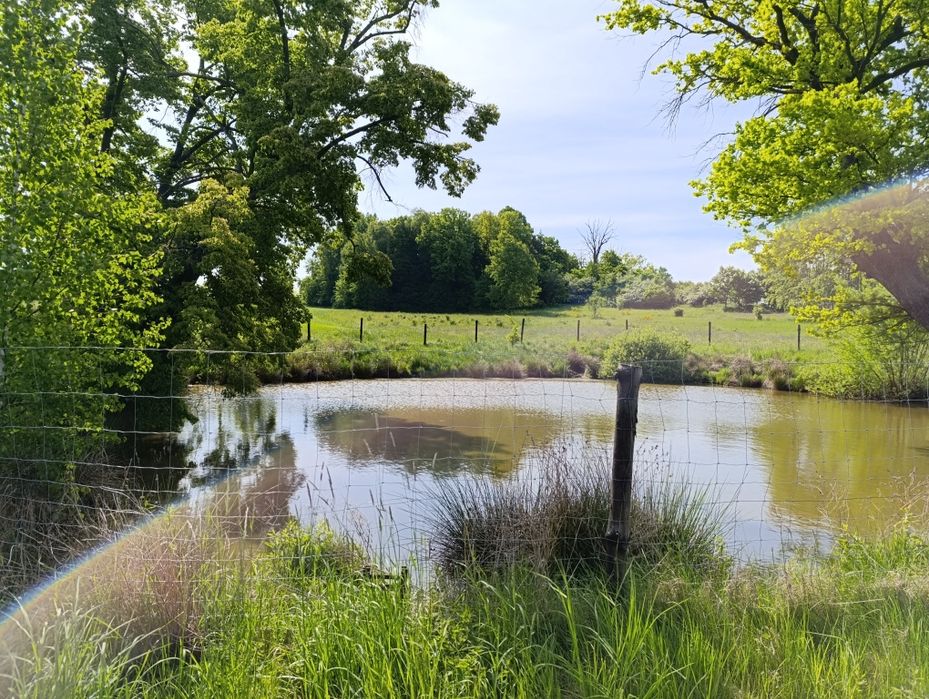 Sprzedam działkę rolną że stawem