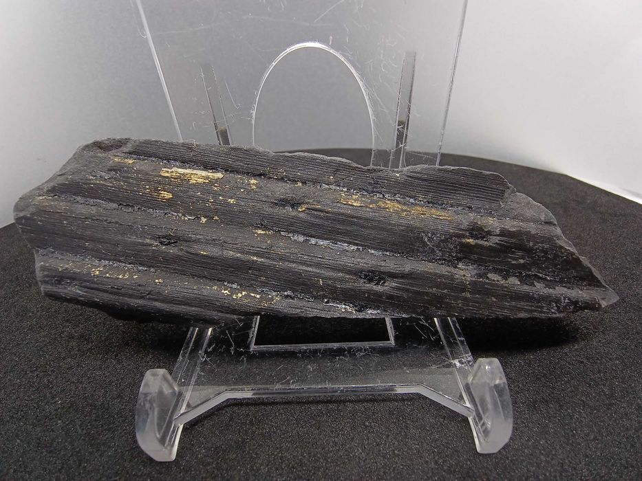 Skamieniałość Karbońska - Kora Sygilarii z Pirytem