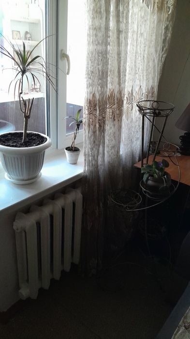 Сдам 1-комнатную квартиру посуточно Киев цент сердца Юность м.Чернигов-13-555.biz.ua