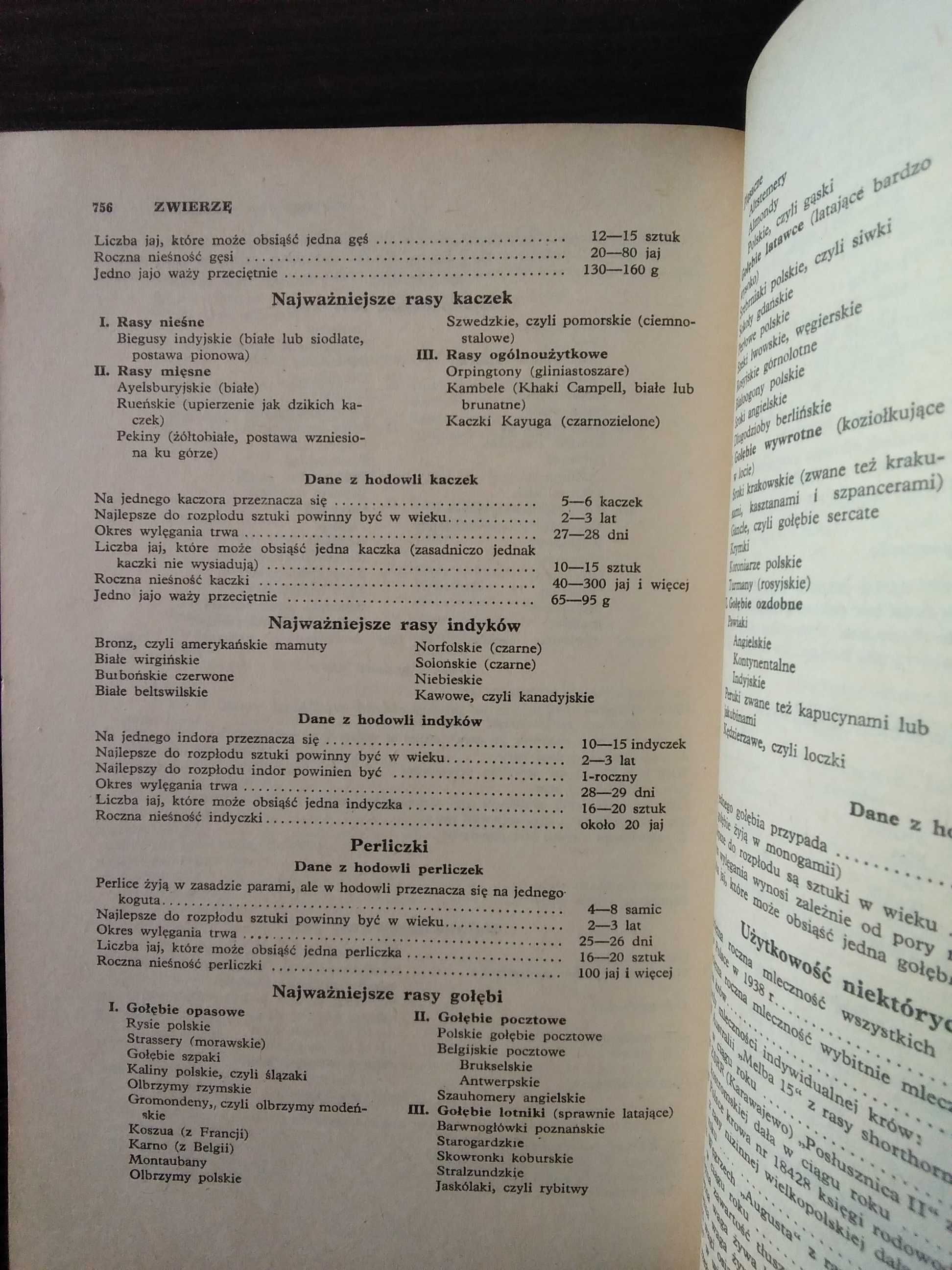 Mała Encyklopedia Przyrodnicza PWN