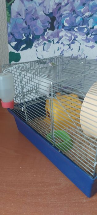 Клітка для хомяка