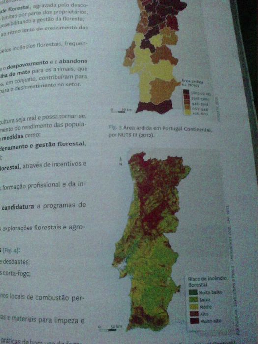 Geografia 11.º ano Manual