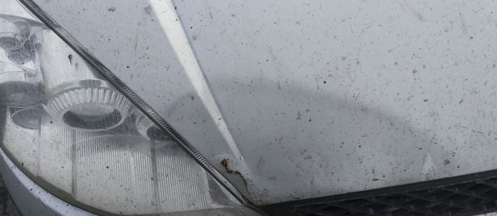 Форд фокус хетчбек 1