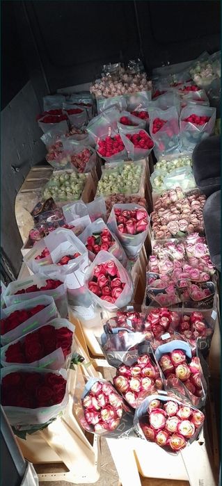 Вантажні перевезення. 5пасажирів. Водій - експедитор, вантажник.