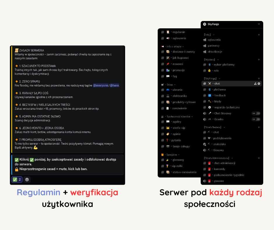Profesjonalny serwer Discord • Szablon / Full Custom / Boty