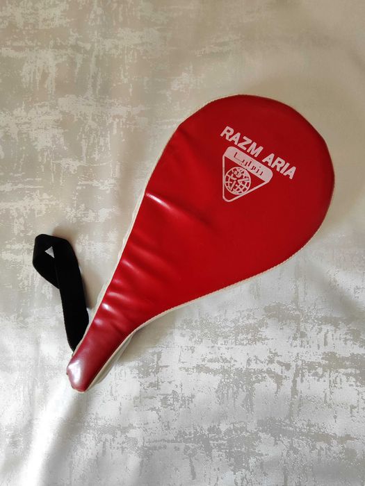 Sanda boxe taekwondo