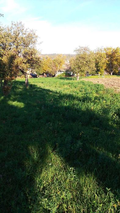 Продам будинок, с. Куча. ділянка 50 ст.