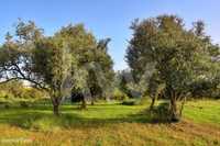 Terreno rústico com 17520m2 perto de São Bartolomeu de Messines