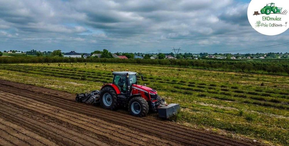wycinka drzew mulczer frezowanie pni czyszczenie działek mulczowanie