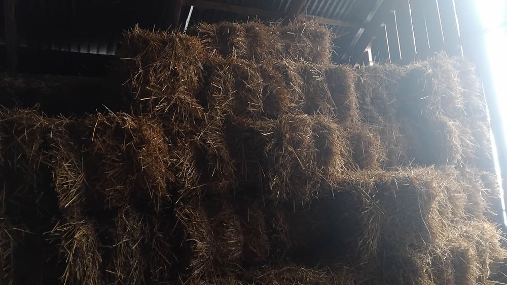 Sprzedam słome w kostak z przenicy tegoroczną